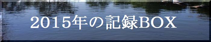 １５年記録