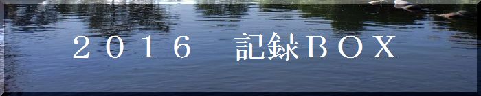 １６年記録