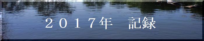 １７年記録