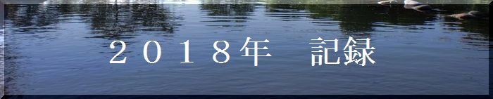 １８年記録