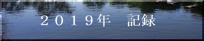 １９年記録