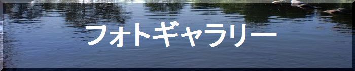 つりぼり　あかしフォトギャラリー