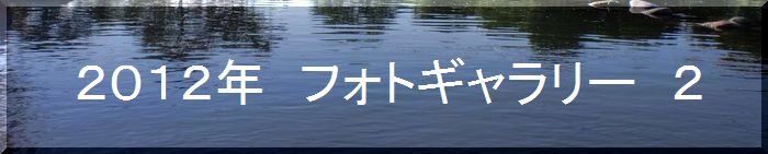 つりぼり　あかしフォトギャラリー