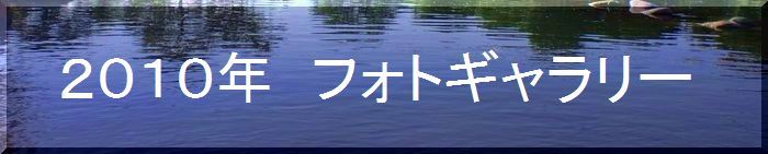 つりぼり　あかしフォトギャラリー