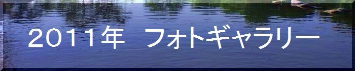 つりぼり　あかしフォトギャラリー