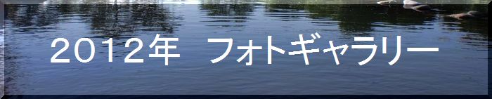 つりぼり　あかしフォトギャラリー