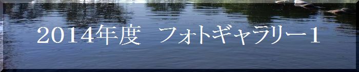 つりぼり　あかしフォトギャラリー