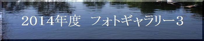 つりぼり　あかしフォトギャラリー