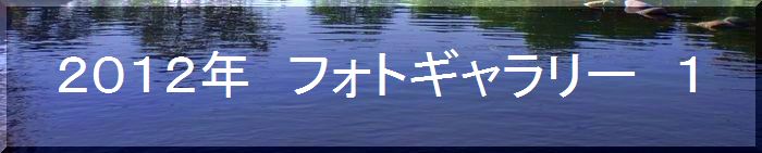 つりぼり　あかしフォトギャラリー