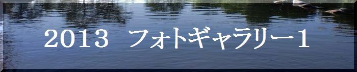 つりぼり　あかしフォトギャラリー