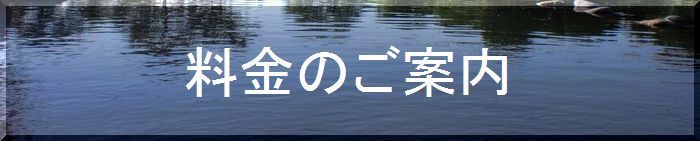 料金