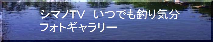 パワーフィールド　つりぼり　あかしフォトギャラリー