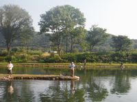 大会9
