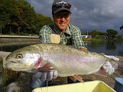 サイズ６０以上