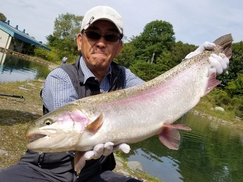75cm