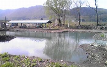 大会